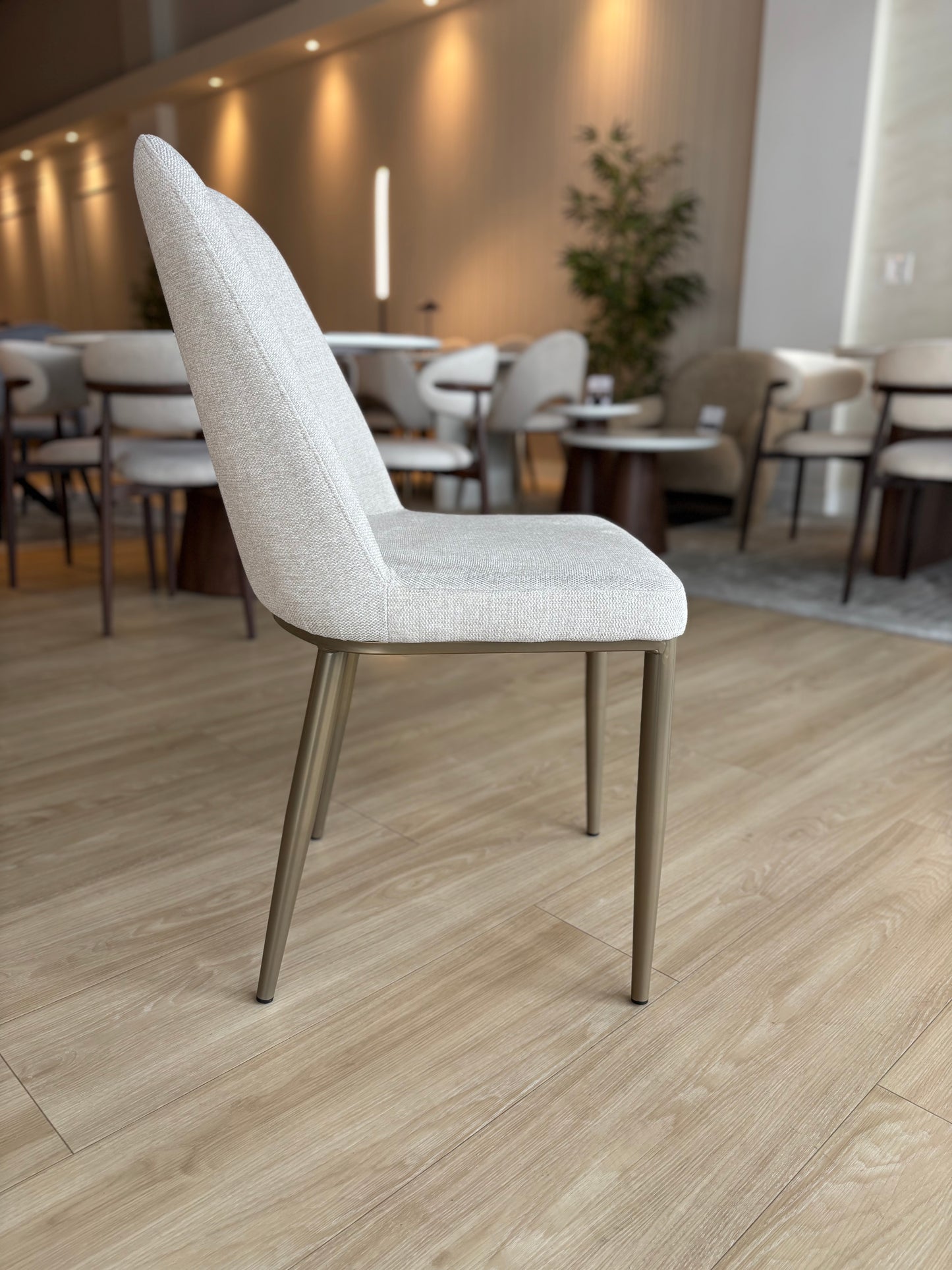 LUNA - Tela Beige - Base Brushed Gold