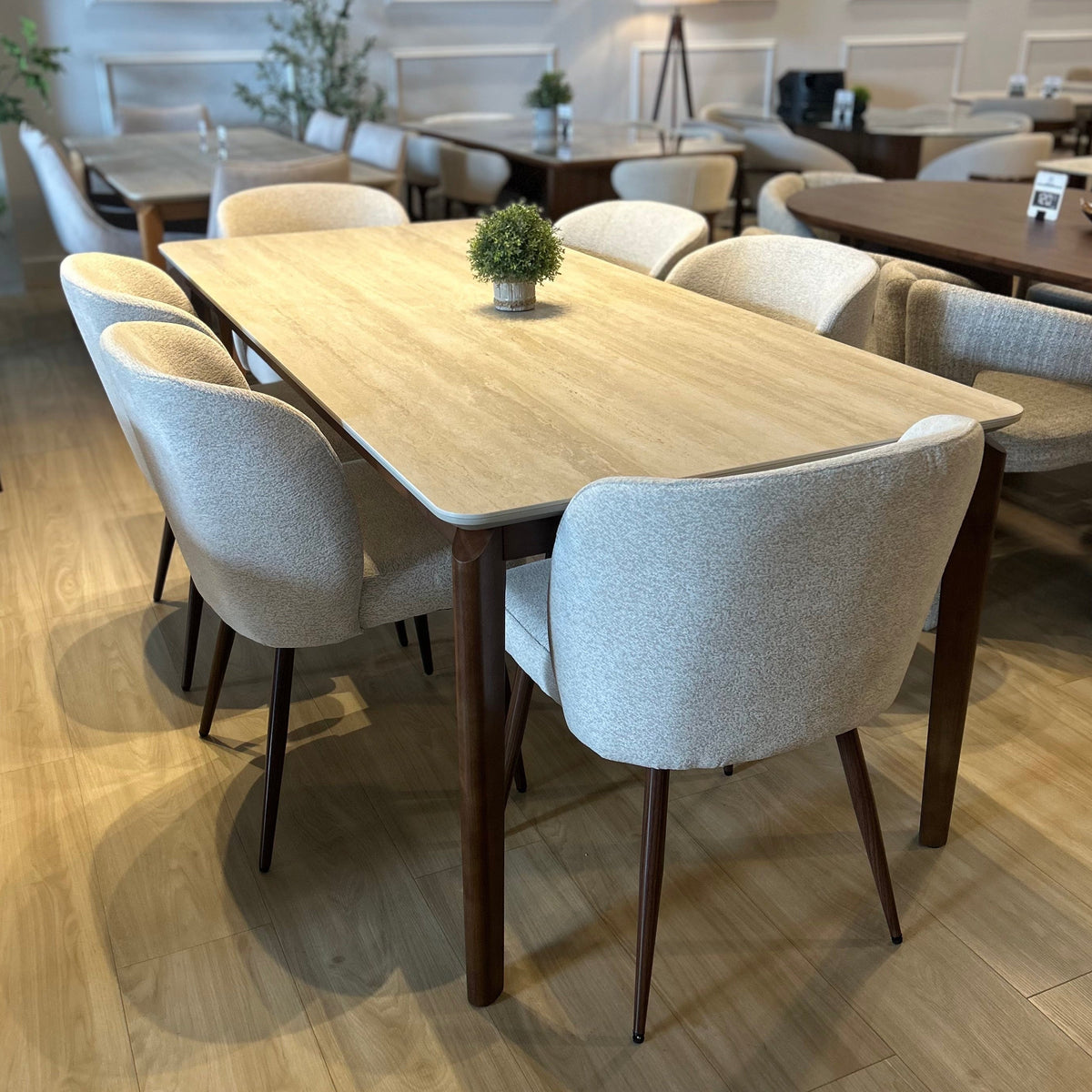 Mesa Savannah 200cm + 6 Sillas Giulia Walnut