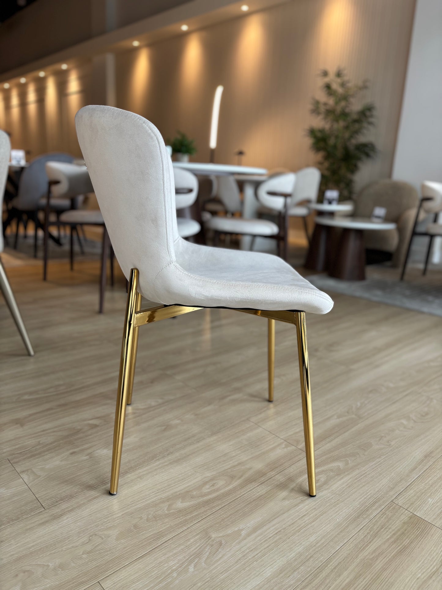 SOHO - Tela Crema Velvet - Base Dorada
