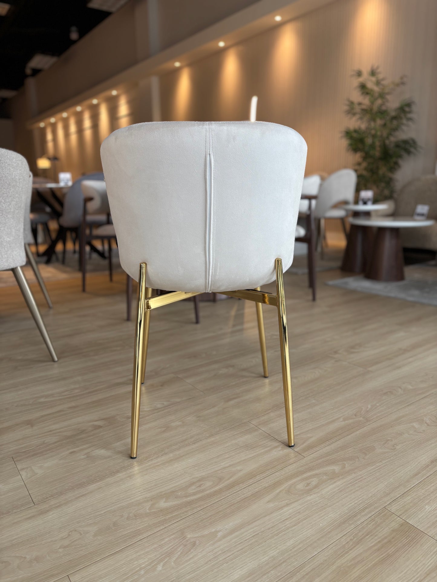 SOHO - Tela Crema Velvet - Base Dorada