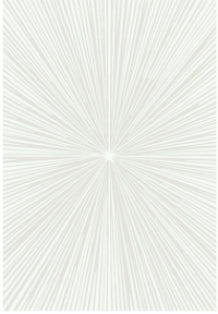 Alfombra - Ref: MY-19 (2.90M X 2.0M)